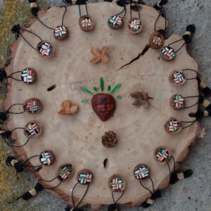 Knjižnica u ljuski oraha ili žirevoj kapici